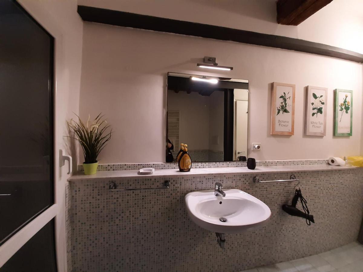Zeus Superior Apartamento Florencia